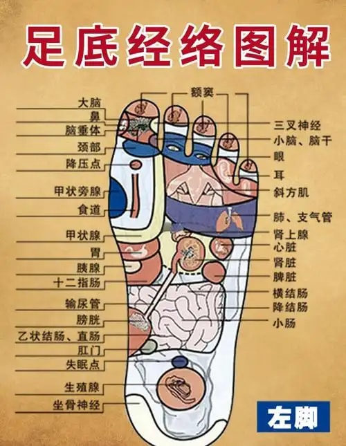 反射区足疗