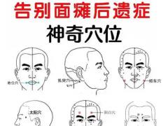 2026华东中医医疗服务博览会