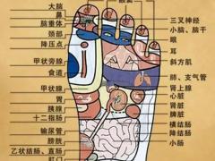 理疗行业信息化峰会